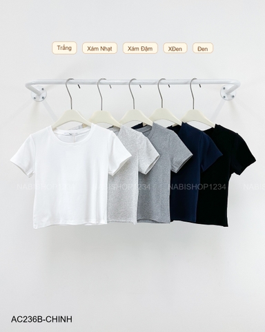 Áo Croptop Số 236-B 5501 TN Trơn Cổ Tròn