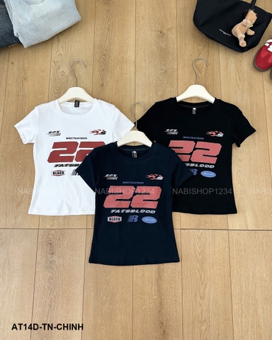 Áo Thun Số 14-D 8379 TN BBT 22