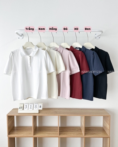 Áo Thun Số 318-B 3571 Polo TN Nhún Vai Trơn
