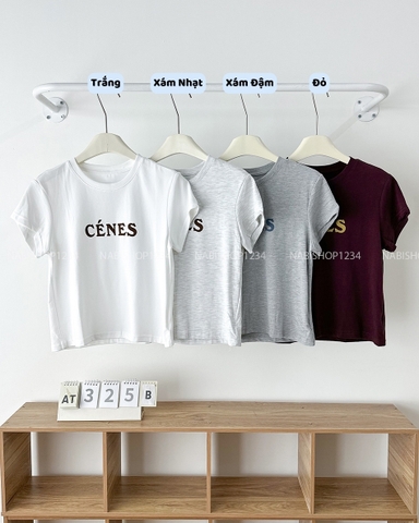 Áo Thun Số 325-B 201 TN CÉNES