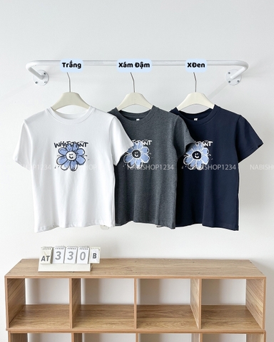 Áo Thun Số 330-B 6806 TN In Hoa