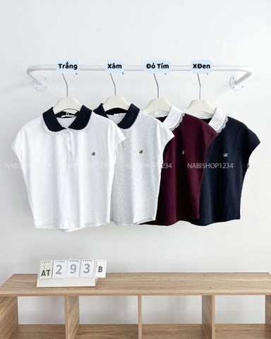 Áo Thun Số 293-B 1932 Polo Cổ Ren Tay Hến