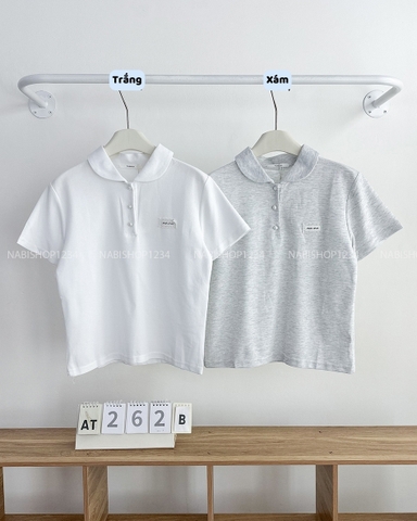 Áo Thun Số 262-B 1928 TN Polo Tag MinMin