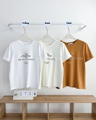 Áo Thun Số 275-D 8531 TN In STANDING