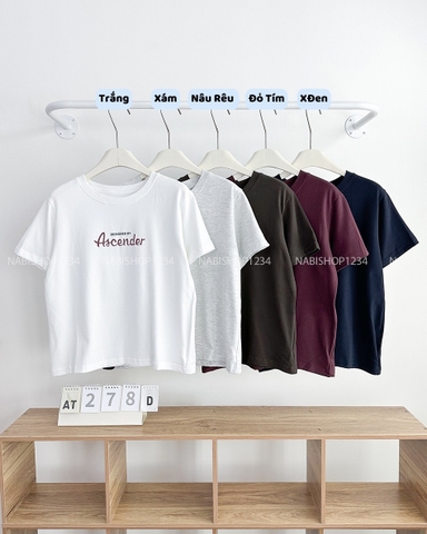 Áo Thun Số 278-D 852 TN In Ascender
