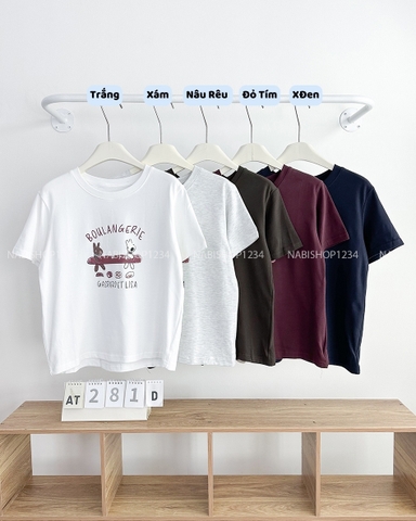 Áo Thun Số 281-D 850 TN Thỏ Ván Trượt