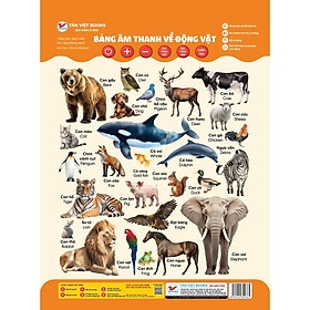 Bảng âm thanh về động vật 95k - TV