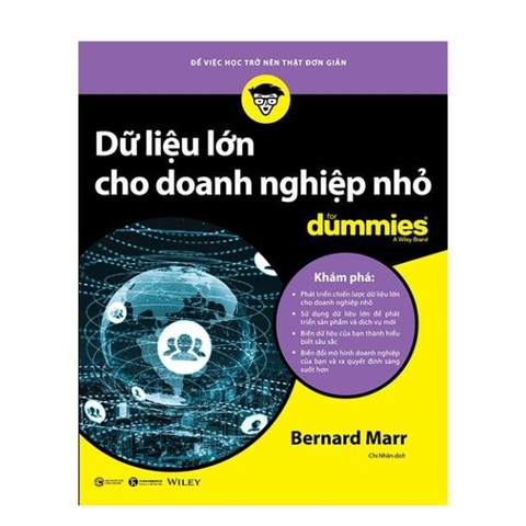 Dữ liệu lớn cho doanh nghiệp nhỏ for dummies - 159k-Thái Hà Books Thái Hà+
