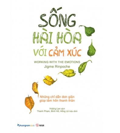 Sống Hài Hòa Với Cảm Xúc - Những Chỉ Dẫn Đơn Giản Giúp Tâm Hồn Thanh Thản (TBL1) - PhuongNam - 99000đ