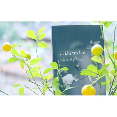 Và Khi Tro Bụi - Đoàn Minh Phượng 120k - Tao Đàn