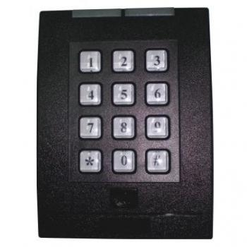 Khóa Văn Phòng Pegasus