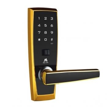 Khóa Căn Hộ Molilock