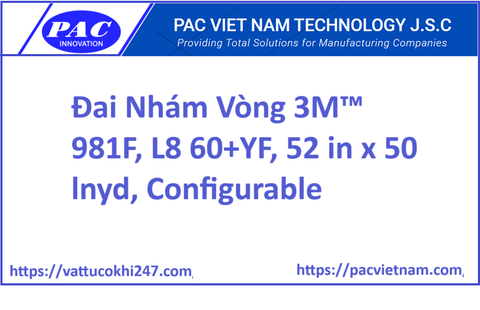 Đai Nhám Vòng 3M™ 981F, L8 60+YF, 52 in x 50 lnyd, Configurable