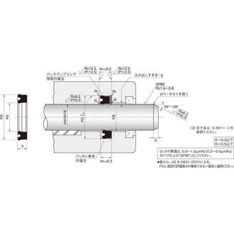 Piston & Rod seal USH