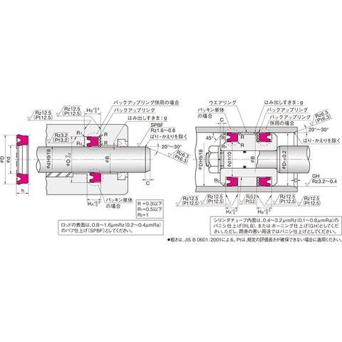 Piston & Rod seal USI