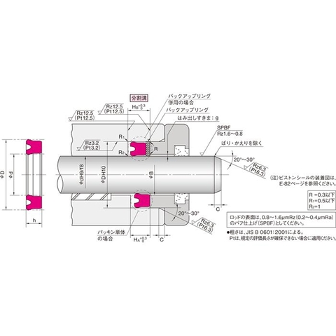 Piston & Rod seal UPI