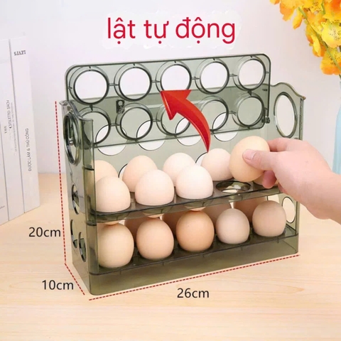 Hộp để trứng nắp tự động đống