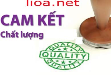 Cam kết chất lượng dịch vụ