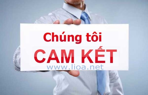 Cam kết bán ổn áp Lioa giá rẻ