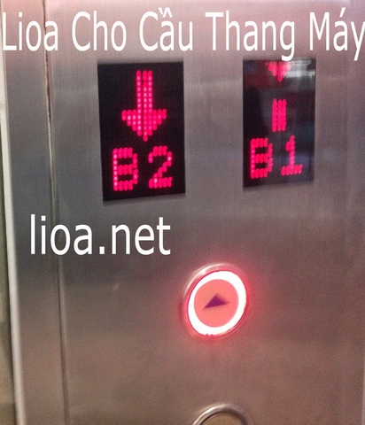 Lioa Cho Cầu Thang Máy