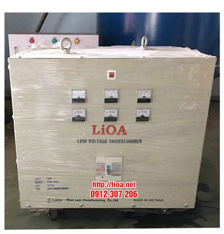 Biến Áp Tự Ngẫu 80kVA