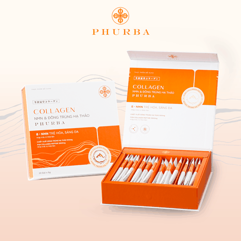 Bột Collagen NMN L-Glutathione Đông Trùng Hạ Thảo Trẻ Hóa Da Phurba Premium by Demee (Hộp 20 gói x 5g)