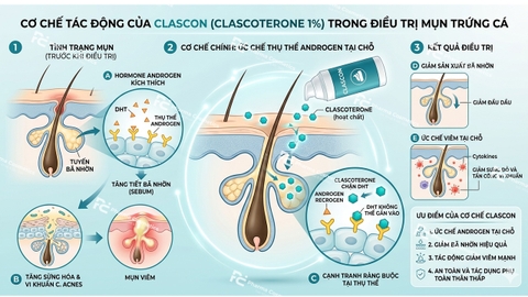 CLASCOTERONE 1%: CUỘC CÁCH MẠNG KHÓA MỤN NỘI TIẾT SAU 4 THẬP KỶ