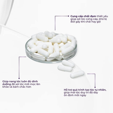 Cystine Plus 60 Viên – Viên uống hỗ trợ giảm mụn, hạn chế rụng tóc và nuôi dưỡng làn da