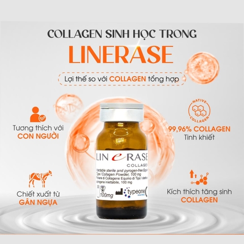 LINERASE COLLAGEN – Giải Pháp Trẻ Hóa 