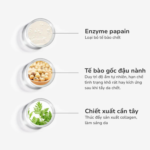 GSC NATURAL PEELING: Tẩy Tế Bào Chết Sinh Học - Dịu Nhẹ, Dưỡng Da & Mờ Thâm