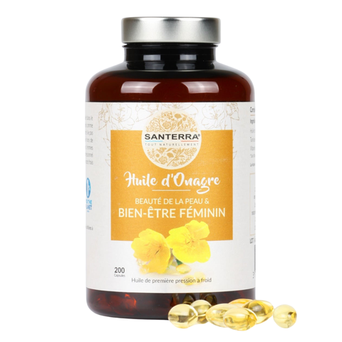 SANTERRA HUILE D’ONAGRE / VIÊN UỐNG TINH DẦU HOA ANH THẢO