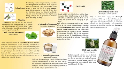 ZYMOGEN Heartleaf Ferment Lotion: Sữa Dưỡng Diếp Cá Lên Men – Giải Pháp Phục Hồi, Kiềm Dầu Và Trị Mụn Chuyên Sâu