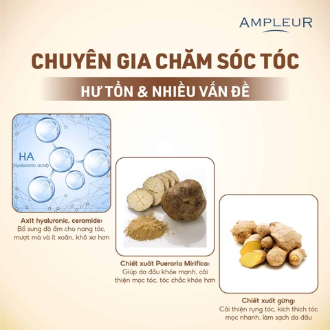 AMPLEUR PREMIUM PHYTO HAIR WASH N / DẦU GỘI CAO CẤP KHÔNG CHỨA SILICON