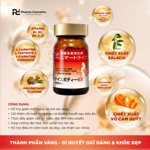 WAKENKO NICE BODY EX 60 VIÊN / VIÊN UỐNG GIẢM MỠ BỤNG LỢI KHUẨN GỪNG ĐEN 