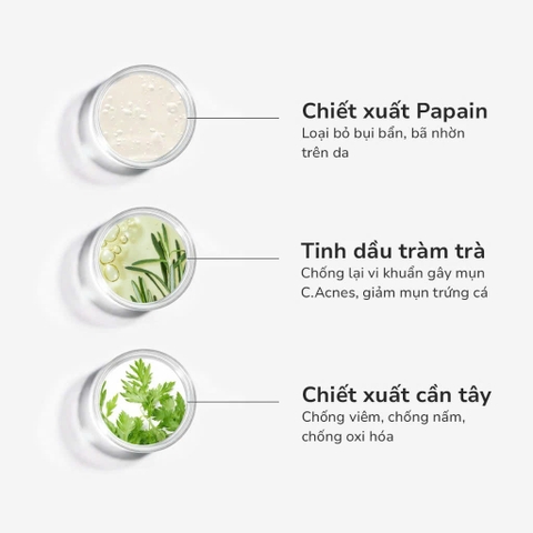 GSC+ ENZYME WASH POWDER: Sữa Rửa Mặt Dạng Bột - Sạch Sâu, Ngừa Mụn & Cấp Ẩm Chuyên Sâu