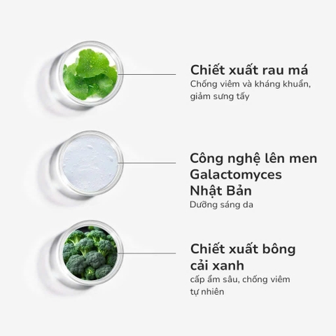 GSC REBIRTH & RECOVERY MASK: Mặt Nạ Tái Tạo, Phục Hồi Da Chuyên Sâu, Dịu Da Sau 5 Phút