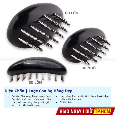 Diện Chẩn | Lược Con Bọ Hàng Đẹp