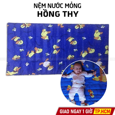 Nệm Nước Mát Mỏng Hồng Thy