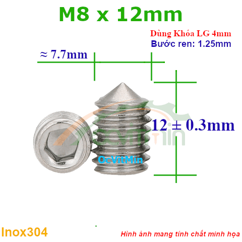 Vít Trí Đuôi Nhọn M8x12mm Inox304 - Vit Tri Duoi Nhon