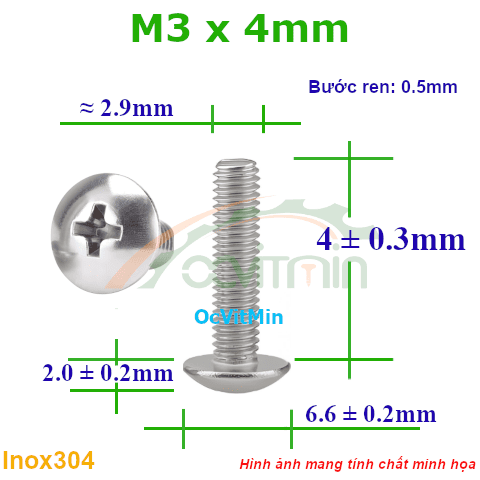 Ốc Bake Đầu Dù M3x4mm Inox304  - Oc PaKe Dau Du