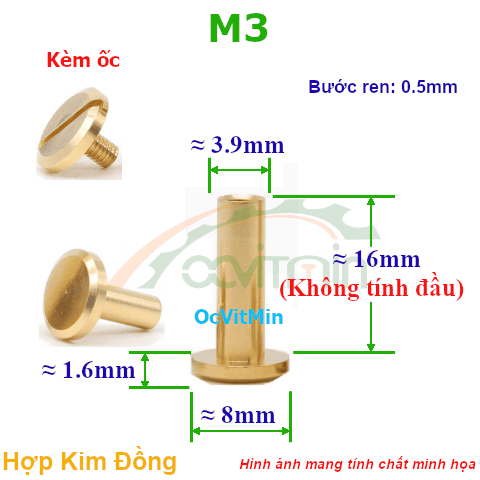 Đai Ốc Đồng M3x16mm Kèm Ốc - Dai Oc Tan Ecu Dong