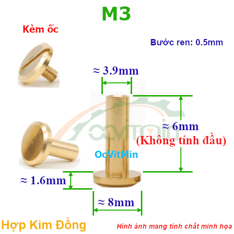 Đai Ốc Đồng M3x6mm Kèm Ốc - Dai Oc Tan Ecu Dong