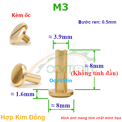 Đai Ốc Đồng M3x8mm Kèm Ốc - Dai Oc Tan Ecu Dong