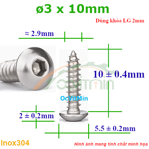 Vít Gỗ Lục Giác Đầu Dù ø 3x10mm - Vit Go Dau Luc Giac Du