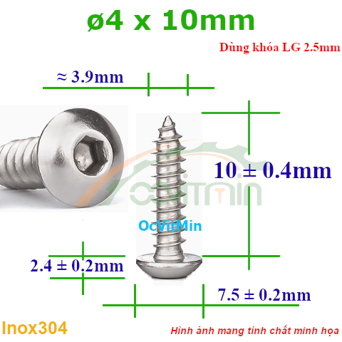 Vít Gỗ Lục Giác Đầu Dù ø 4x10mm - Vit Go Dau Luc Giac Du