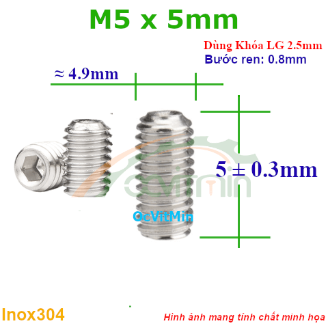 Vít Trí Đuôi Lõm M5x5mm Inox304 - Vit Tri Duoi Lom