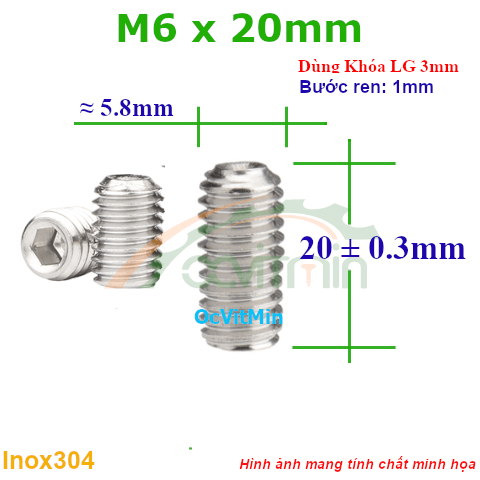 Vít Trí Đuôi Lõm M6x20mm Inox304 - Vit Tri Duoi Lom