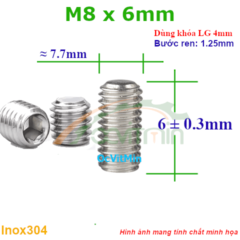 Vít Trí Đuôi Bằng M8x6mm Inox304 - Vit Tri Duoi Bang