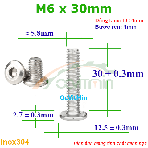 Ốc Lục Giác Đầu Dẹt Tròn M6x30mm Inox304