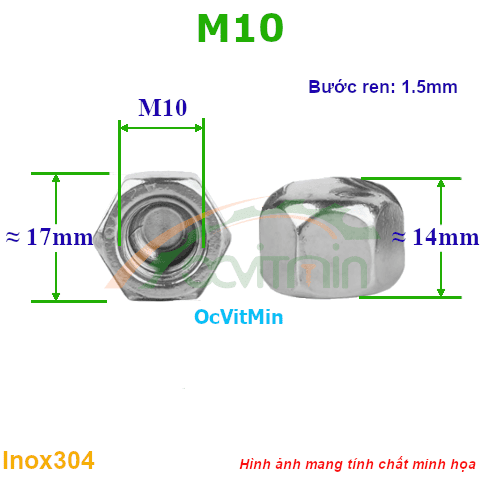 Đai Ốc Nắp M10 Tán Inox304 - Dai Oc Tan Ecu Nap